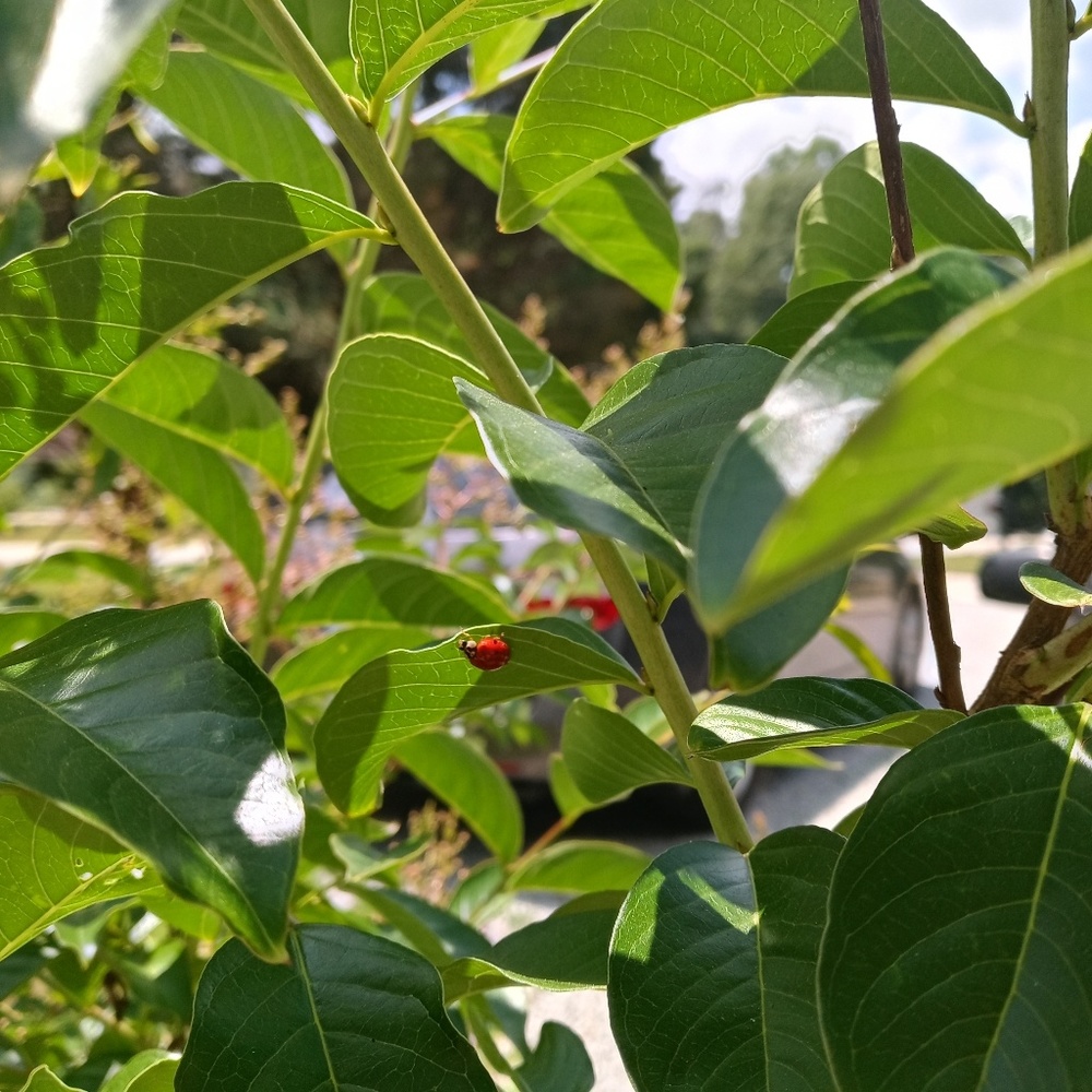 Meet your Posher, Madelyn